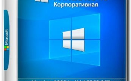 Windows 10 Корпоративная 1903 [Build 18362.267] (x64) (RUS) by ivandubskoj (03.08.2019)