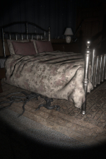 Screenshot #5 - The Echo Paradox