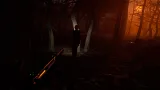Screenshot #5 - Blood Trail