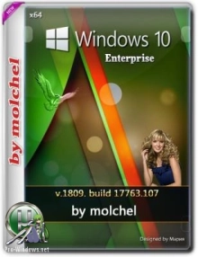Windows 10 Enterprise v1809.107 by molchel (x64)