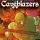 Caveblazers: +1 трейнер