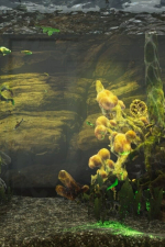 Screenshot #9 - Aquarist