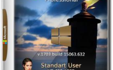 Windows 10 Pro 1703 (x64) Version 15063.0