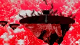 Screenshot #12 - The Endless Empty