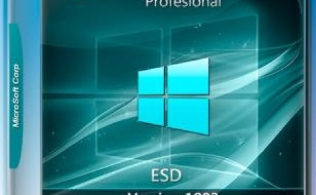Windows_10_x64_Professional_ RS4 v.1803 With Update (17134.165)_IZUAL_14.07.18 (esd)