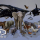 Animals Full Pack