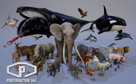 Animals Full Pack