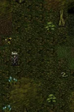 Screenshot #3 - 9TH DAWN DEMO 1.92