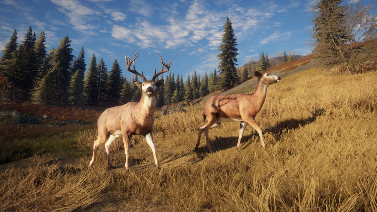 Screenshot #10 - theHunter: Call of the Wild