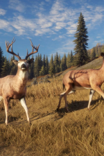 Screenshot #10 - theHunter: Call of the Wild