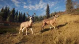 Screenshot #10 - theHunter: Call of the Wild
