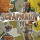 Scrapnaut