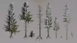 Screenshot #3 - Mountain Forest Pack