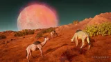 Screenshot #12 - Stranded: Alien Dawn