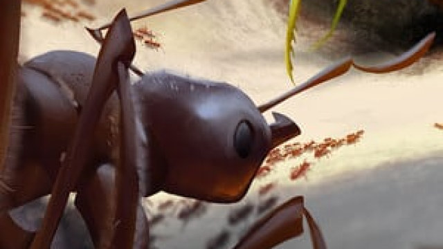 Empires of the Undergrowth