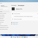 Screenshot #4 - Windows 11 Pro x64 3in1 21H2.22000.795 July 2022 by Generation2