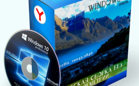 Windows 10 Pro x64 22H2_19045.2846 Stable by WebUser
