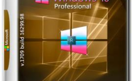 Windows 10 Pro 1709 x86/x64 by kuloymin v11.1 (esd)