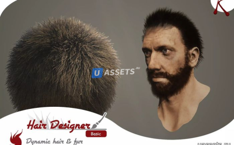 Hair Designer