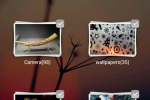 Screenshot #3 - GO MEDIA MANAGER 1.36
