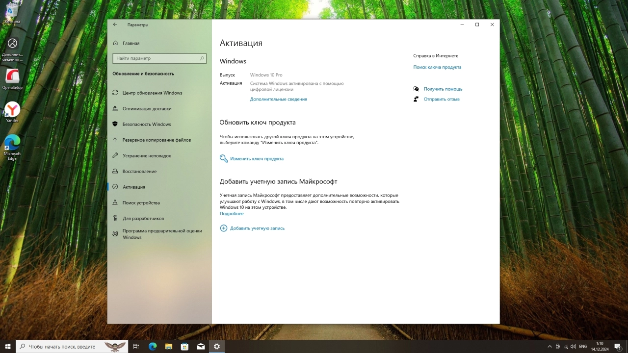 Screenshot #6 - Windows 10 Pro 22H2 Build 19045.5247 Full Декабрь 2024