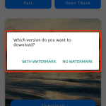 Screenshot #3 - GETVIDEO – СКАЧАТЬ ВИДЕО ИЗ TIKTOK 1.6.6