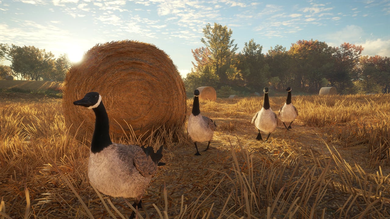 Screenshot #11 - theHunter: Call of the Wild