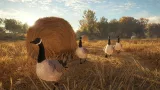 Screenshot #11 - theHunter: Call of the Wild