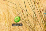 Screenshot #2 - УПРАВЛЕНИЕ ПРИЛОЖЕНИЯМИ ЯРЛЫК 1.0.0