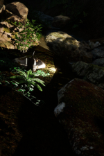 Screenshot #7 - Pack It Out