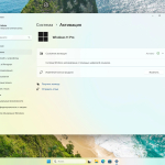 Screenshot #5 - Windows 11 Pro 24H2 Build 26100.1150
