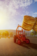 Screenshot #3 - My Village Life