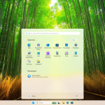 Screenshot #1 - Windows 11 Pro 24H2 Build 26100.3476 Full Март 2025