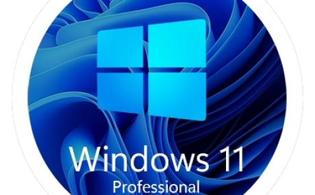 Windows 11 Pro 23H2 [22631.2715 x64] Русская