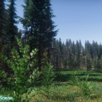 Screenshot #4 - Spruce Trees Pack