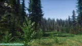 Screenshot #4 - Spruce Trees Pack