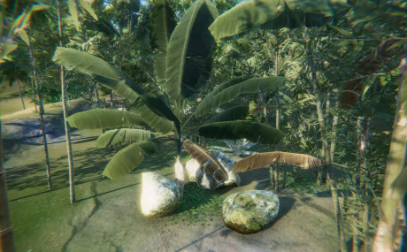 Tropical South-East Asia Rainforest / Jungle Pack