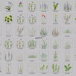 Screenshot #2 - Realistic Grass Flowers Pack