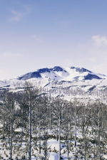 Screenshot #7 - The Cold White