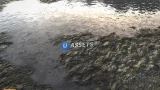 Screenshot #1 - Shader Painter