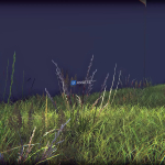 Screenshot #2 - Grass Pack