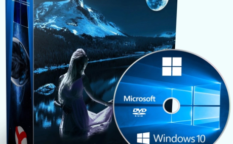 Windows 10 Pro 22H2 19045.2486 Full by WebUser