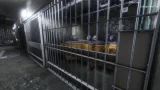 Screenshot #2 - Synthetic Captive