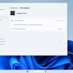 Screenshot #6 - Windows 11 23H2 22631.2115 x64 Pro для любых ПК