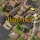 Banished: +5 трейнер