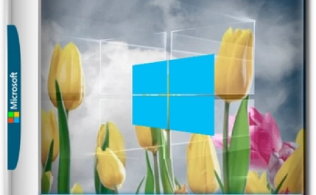 Windows 10 Optima Pro 22H2 19045.5487 x64