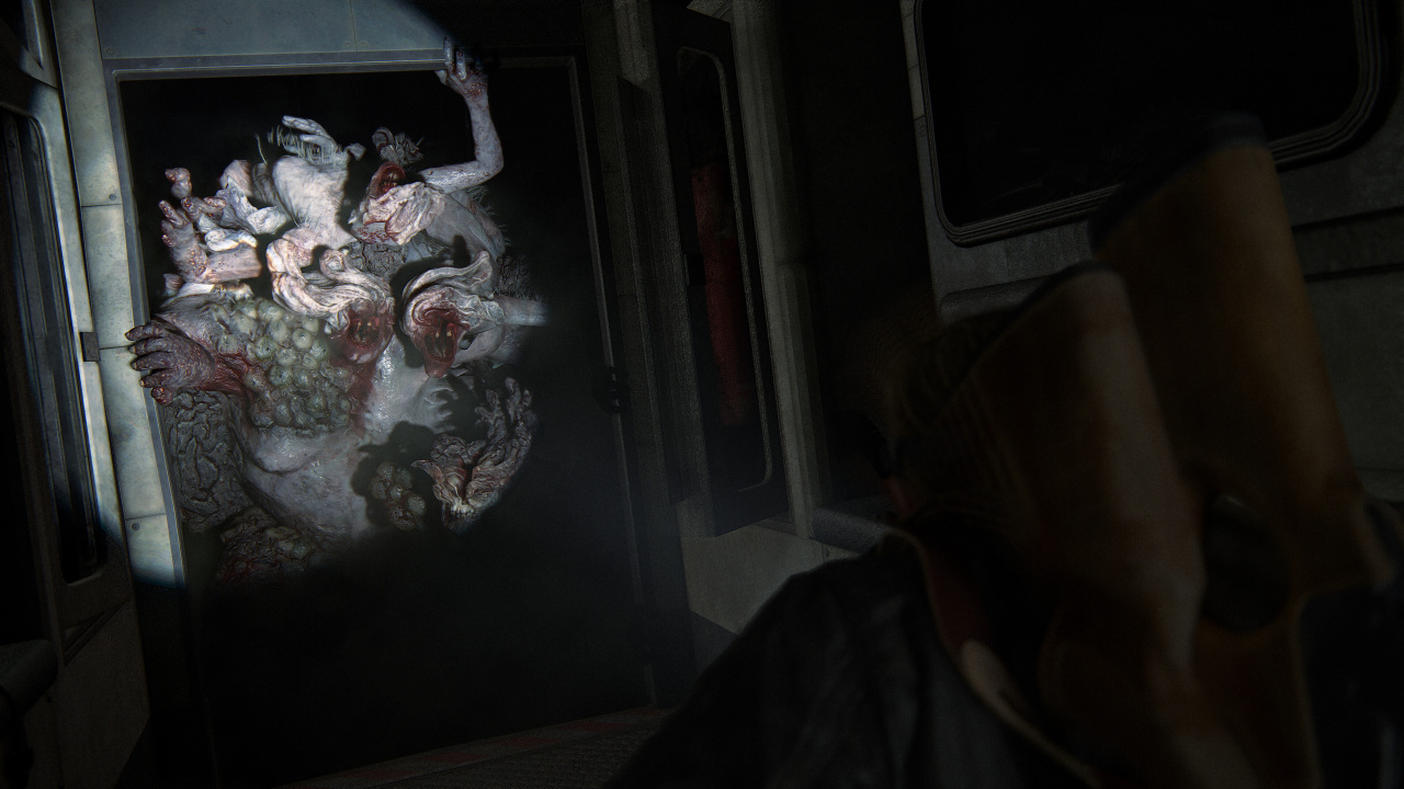 Screenshot #9 - The Last of Us Part 2 Remastered