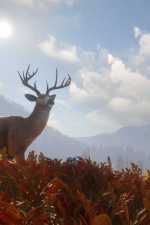 Screenshot #9 - theHunter: Call of the Wild