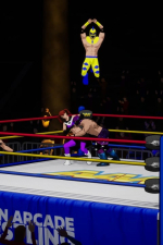 Screenshot #2 - Action Arcade Wrestling