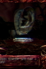 Screenshot #6 - Navicula Meatus